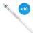 Multipack 10x Philips LED Buis T5 MASTER (HF) High Efficiency 16.5W 2500lm - 840 Koel Wit | 115cm - Vervangt 28W